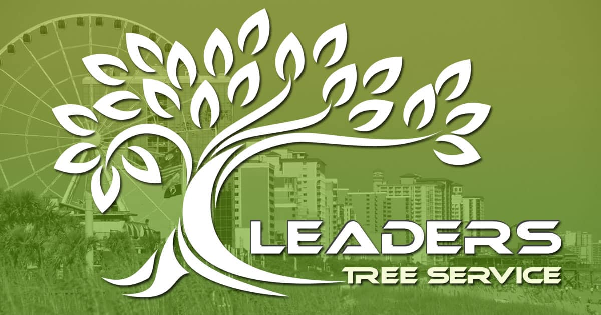 The 10 Best Landscaping Companies in Myrtle Beach, SC 2025 The 10 Best Landscaping Companies in Myrtle Beach, SC 2025