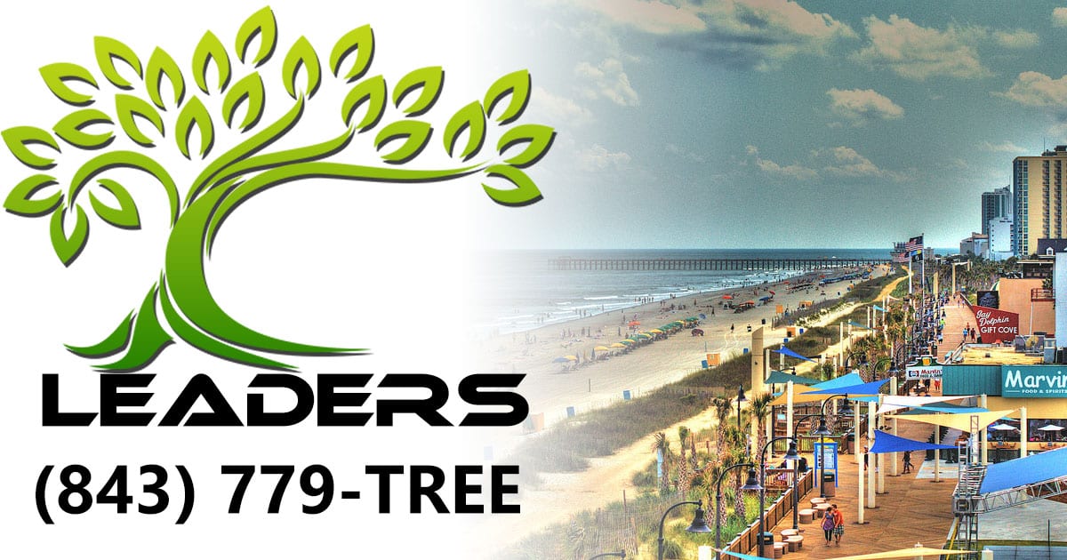 Tree service North Myrtle Beach SC - Leaders - Tree ...